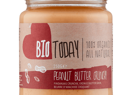 BioToday Erdnussbutter Crunchy Bio