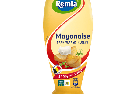 Remia Flemish Mayonnaise