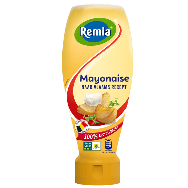 Remia Flemish Mayonnaise