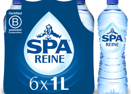 Spa Reine carbonated mineral water