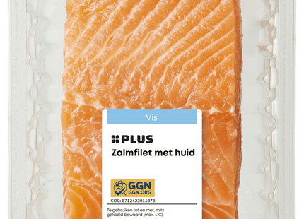 Zalmfilet met huid