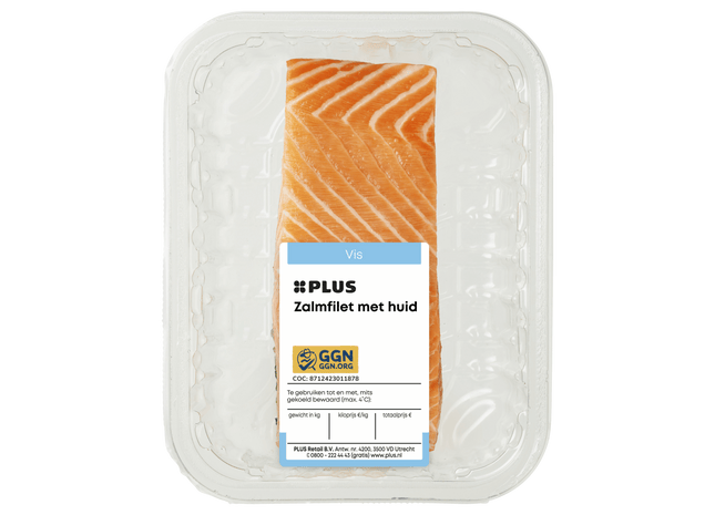 Zalmfilet met huid