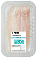 Pangasius Fillet