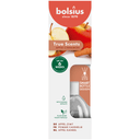 Bolsius Geurverspreider true scents appel cinn