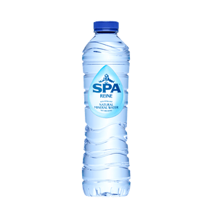 Spa Reine kzv mineraalwater gekoeld