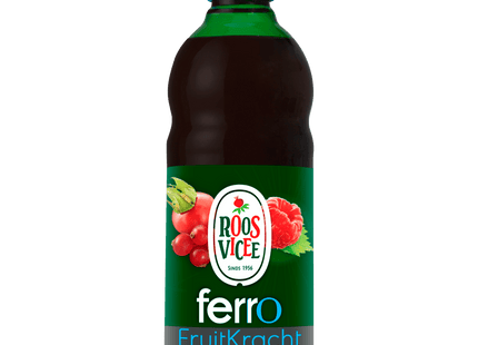 Roosvicee Fruit power ferrous syrup