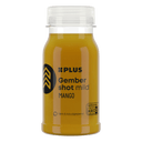 Vers shot gember mango (mild)