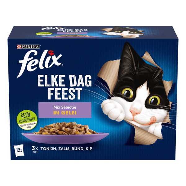 Felix Every Day Celebration Mix
