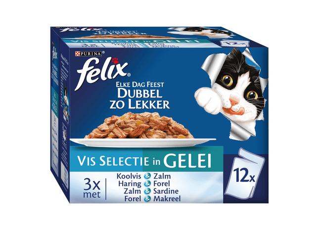 Felix Elke dag feest Vis