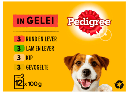 Pedigree Adult Meat in Jelly Dog Food