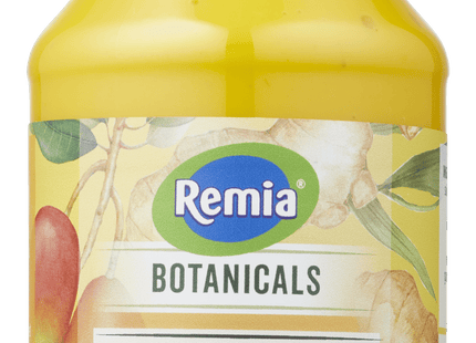 Remia Botanical Mango dressing 300ml