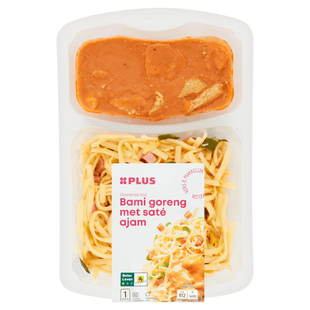 Bami Goreng met Saté Ajam