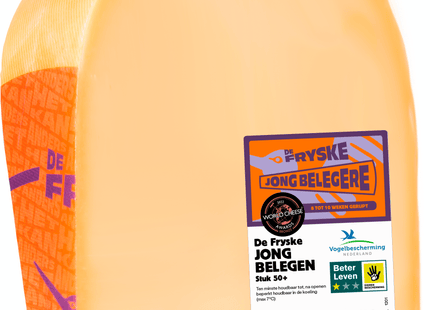 Fryske Stuk Jong Belegere