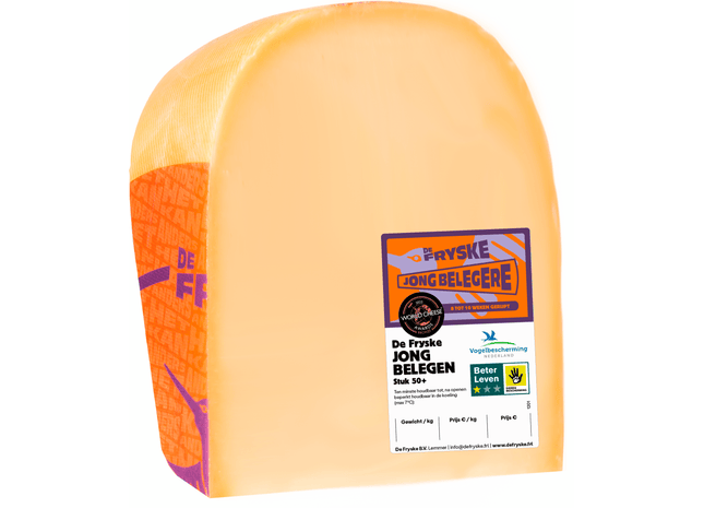 Fryske Stuk Jong Belegere