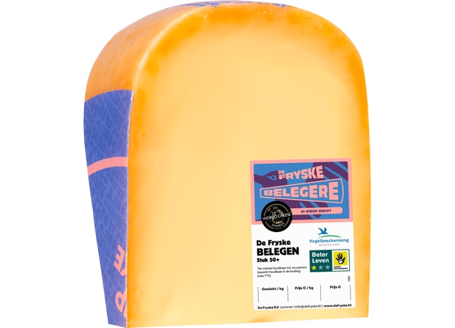 Fryske Stuk Belegere