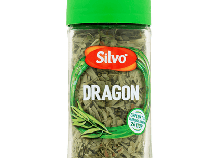 Silvo Dragon