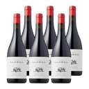 Andrés Alonso Garnacha & Syrah