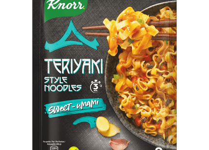 Knorr Asia Specials Teriyaki