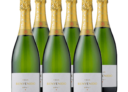 Bienvenido Cava Brut