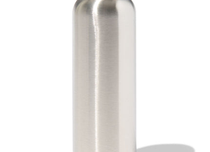 insulated bottle 450ml stainless steel double-walled silver