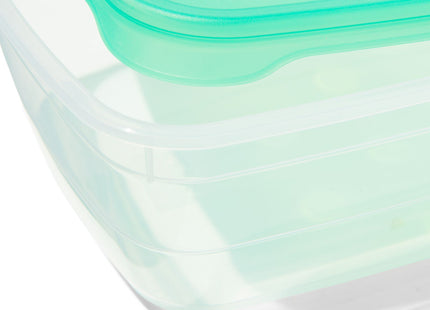 fresh food containers 2L - 2 pcs