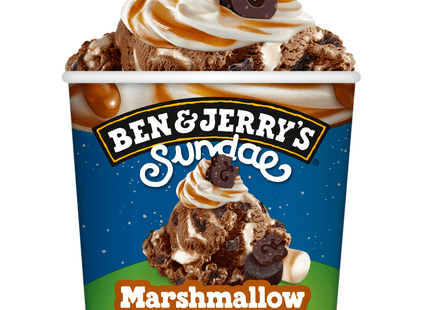 Ben&Jerry's Marshmallow & S'more!