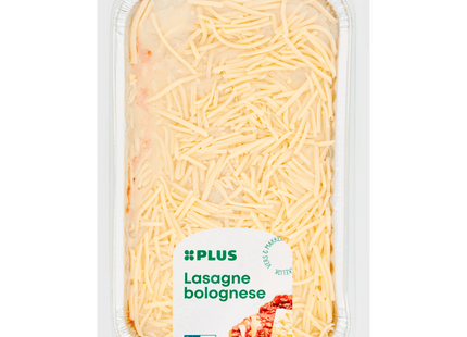 Lasagne bolognese  Dutchshopper