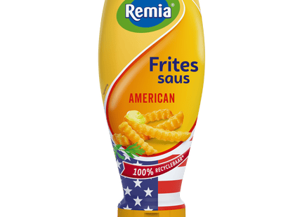 Remia American Fries Sauce Topdown