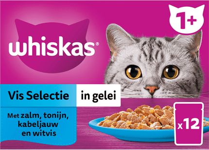 Whiskas 1+ - Kattenvoer - Vis - gelei