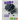 BIO+ Blaubeeren (DV)