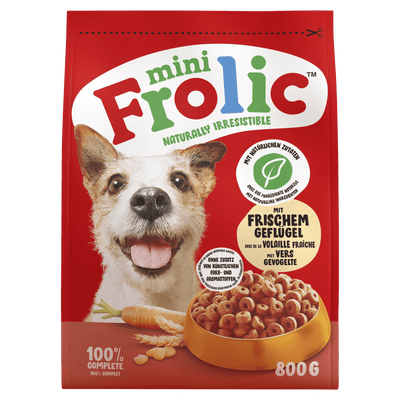Dry dog food