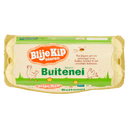 Blije Kip Buiten ei vrije uitloop eieren L.