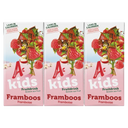 Appelsientje Kids fruitdrink framboos 6-pack