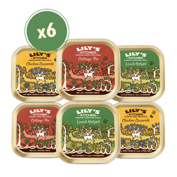 Lily's Kitchen Classic dinners assorted flavors 6-pack