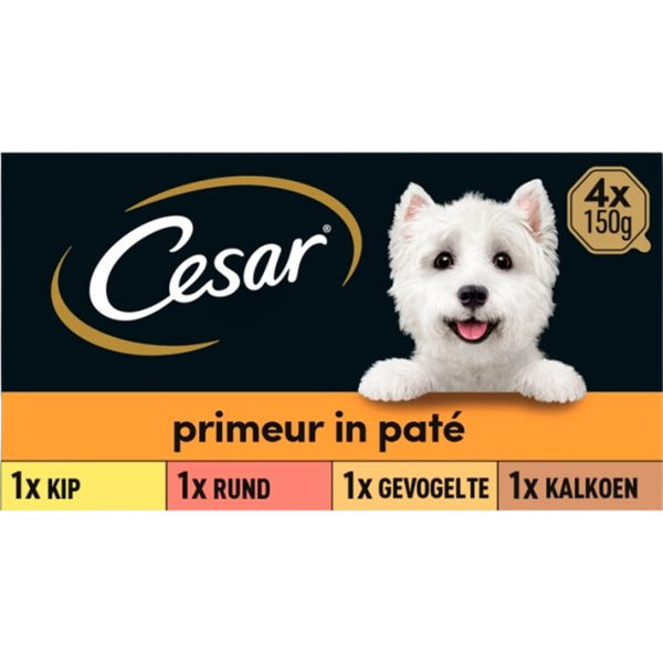 Cesar Hundefutter nass Neuheit