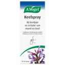 A.Vogel Rachenspray bei Halsschmerzen