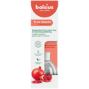 Bolsius Geurverspreider true scents pomegranate