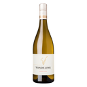 Vondeling Babiana