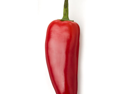 Jalapeño peper rood