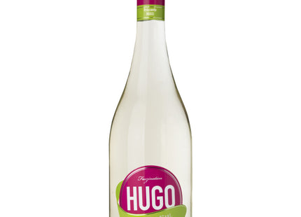 Faszination Hugo