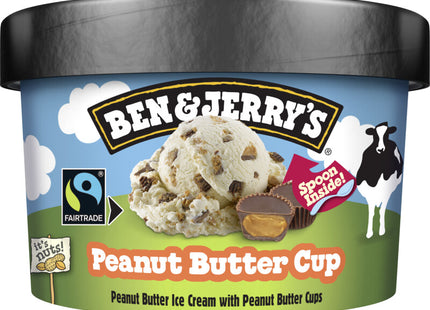 Ben & Jerry's B&J Peanut butter mini cup