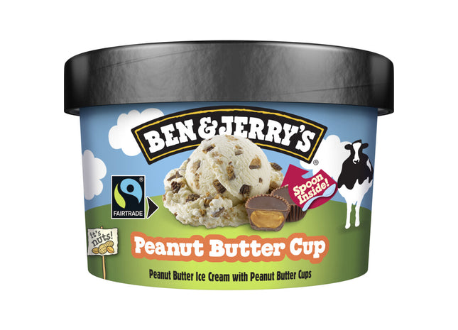 Ben & Jerry's B&J Peanut butter mini cup