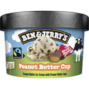 Ben & Jerry's B&J Peanut butter mini cup