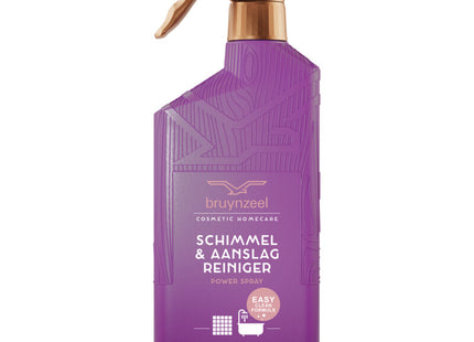 Bruynzeel Schimmel & Aanslagreiniger