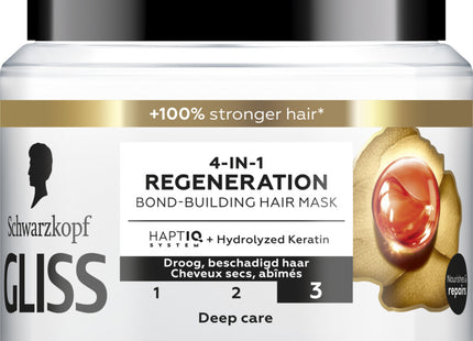 Komplettreparatur der Gliss-Maske