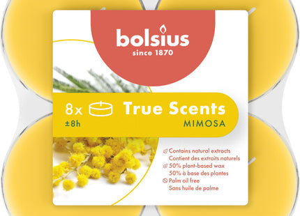 Bolsius Maxilichten clear cup true scents mimosa