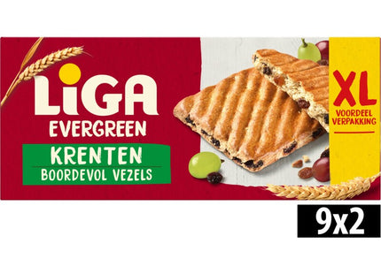 Liga Evergreen currants XL