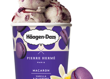 Häagen-Dazs Macaron vanilla & blueberry
