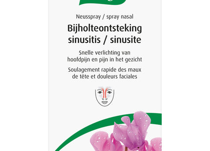A.Vogel Neusspray bijholteontsteking