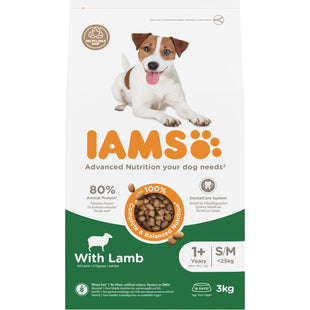 IAMS Advanced nutrition dog with lamb 1+